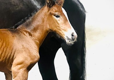 PHOTO-2025-06-13-23-14-10 2