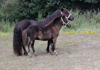 PHOTO-2025-09-15-10-08-13