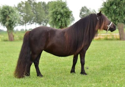 PHOTO-2025-10-21-11-47-45