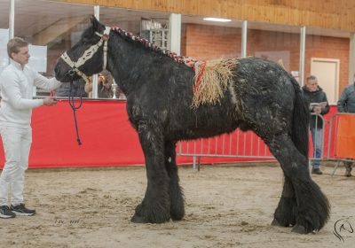 DSC_6701 FB